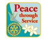 2012-2013 Theme Pin