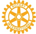 Membership Pins