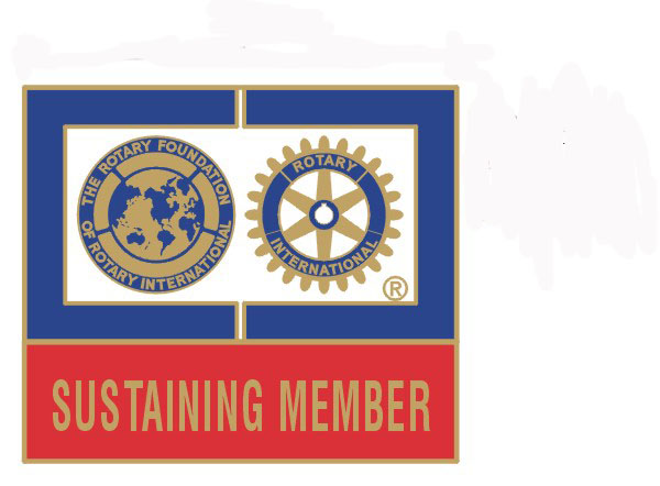Rotary Foundation Pins